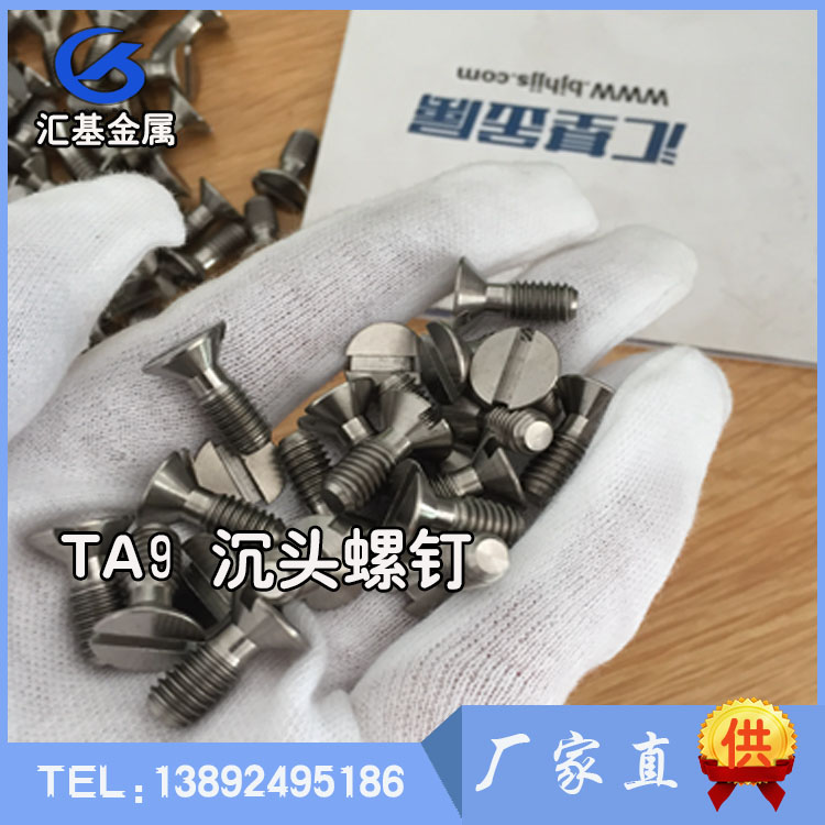 TA9 一字沉头螺钉